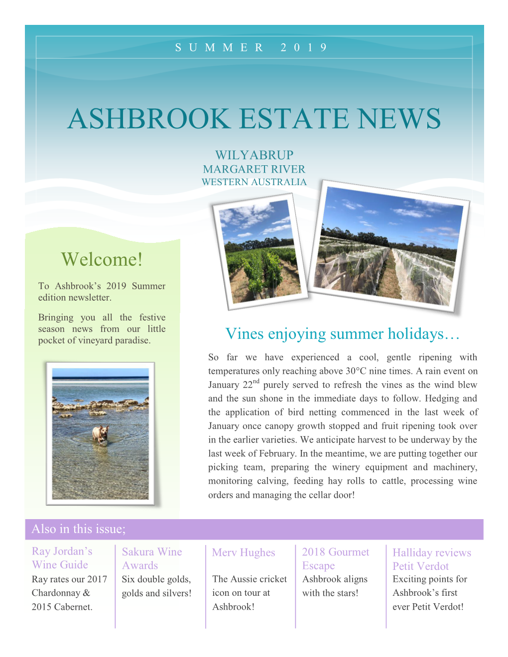 Ashbrook Estate News Issue 3 – Summer 2019