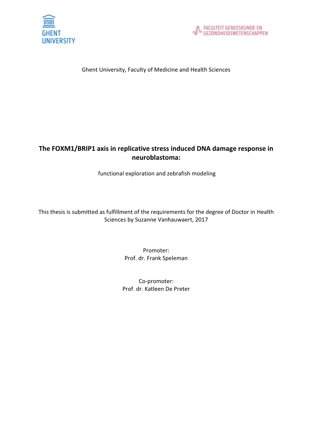 The FOXM1/BRIP1 Axis in Replicative Stress Induced DNA Damage Response in Neuroblastoma