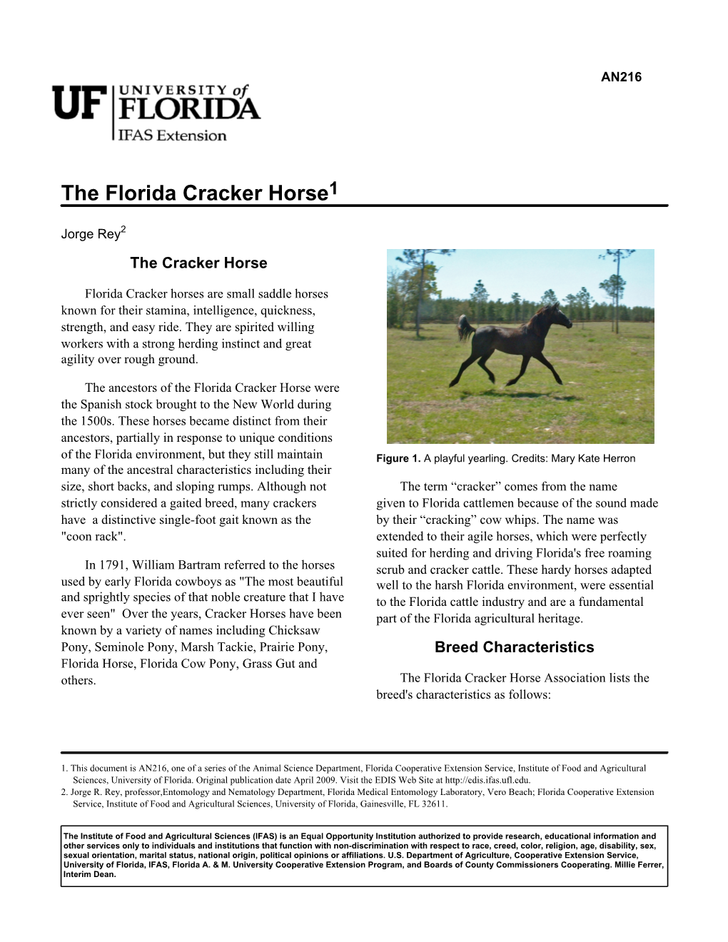 The Florida Cracker Horse1