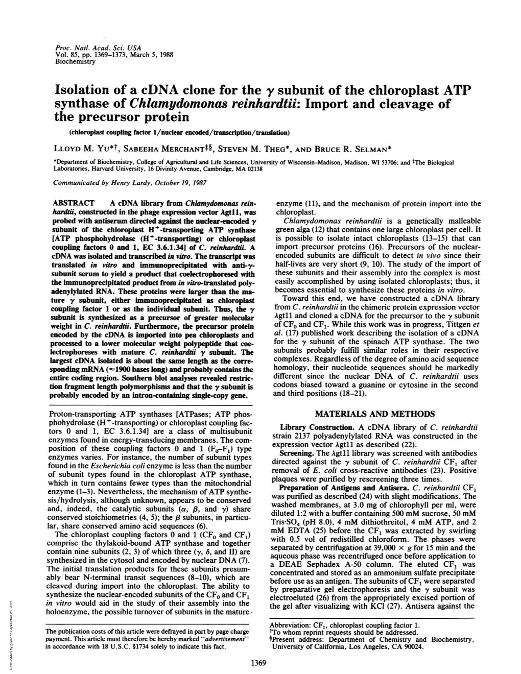 Synthase of Chlamydomonas Reinhardtii: Import and Cleavage of the Precursor Protein (Chloroplast Coupling Factor 1/Nuclear Encoded/Transcription/Translation) LLOYD M