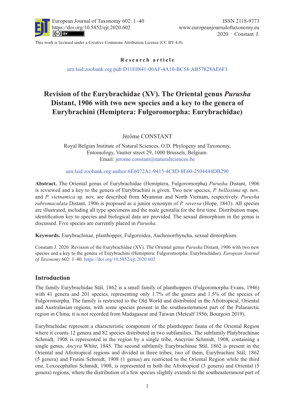 Revision of the Eurybrachidae (XV)