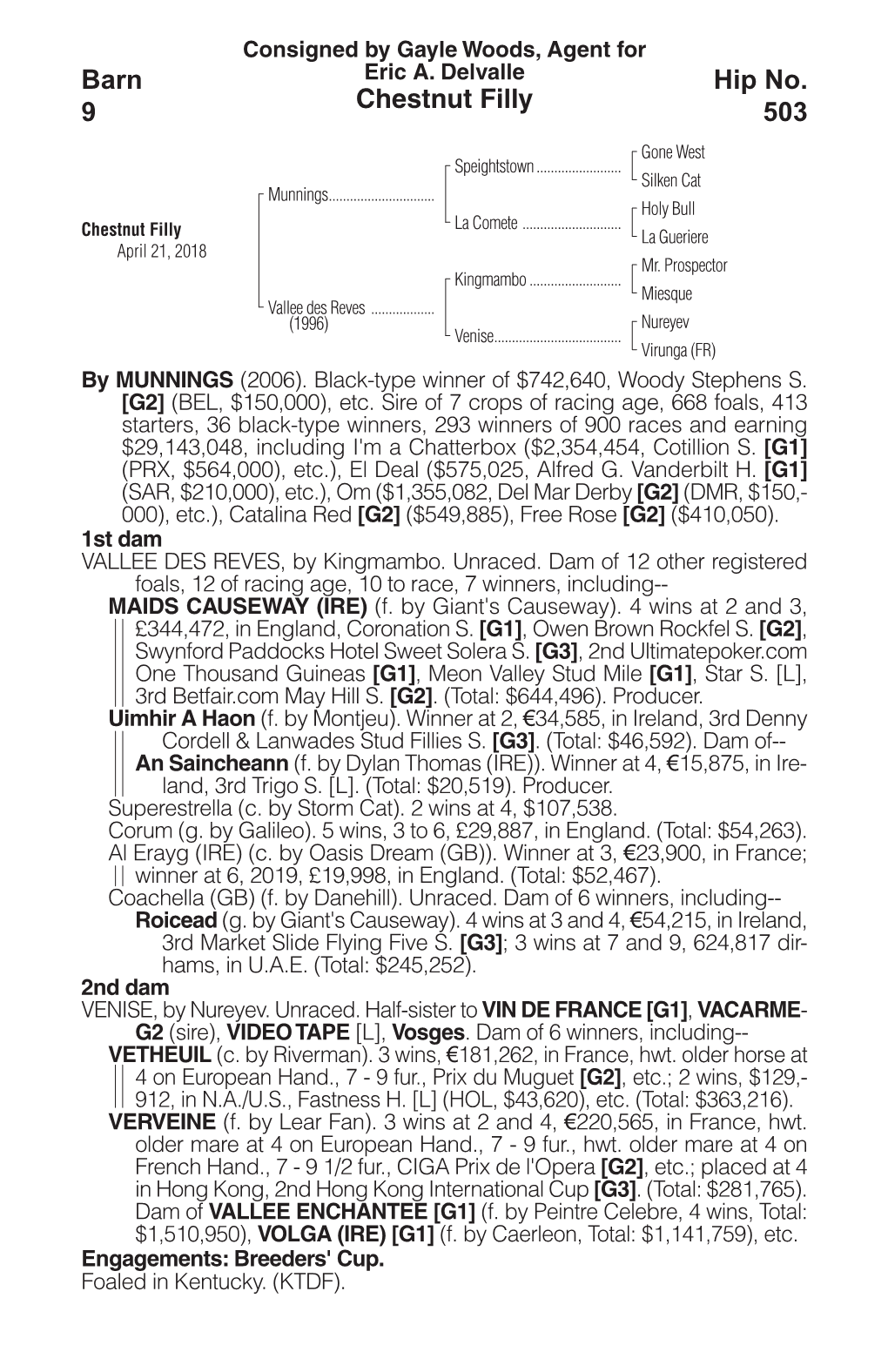 Chestnut Filly Barn 9 Hip No