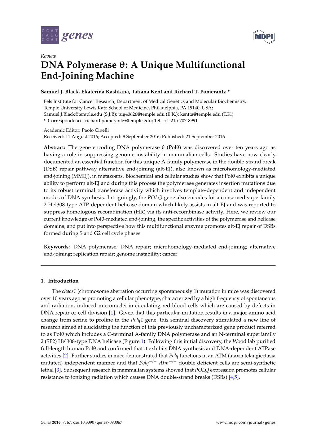 DNA Polymerase : a Unique Multifunctional End-Joining Machine