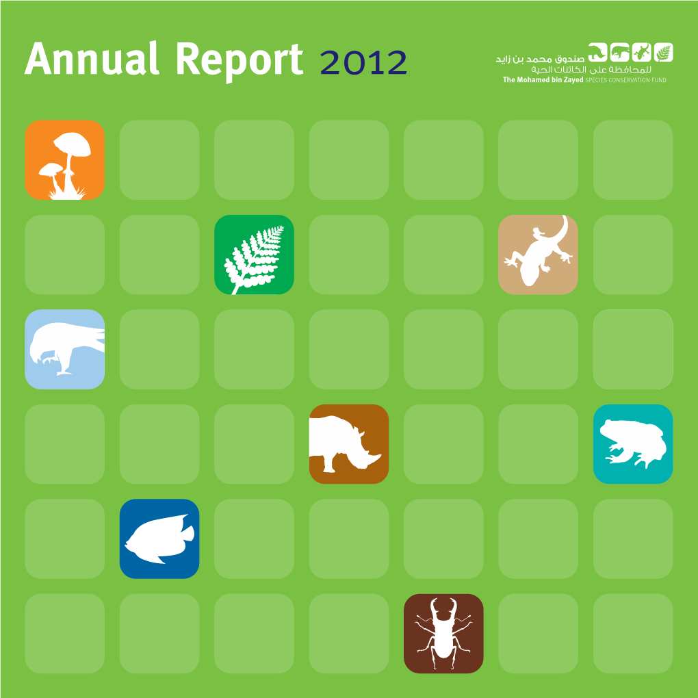 Annual Report 2012 English