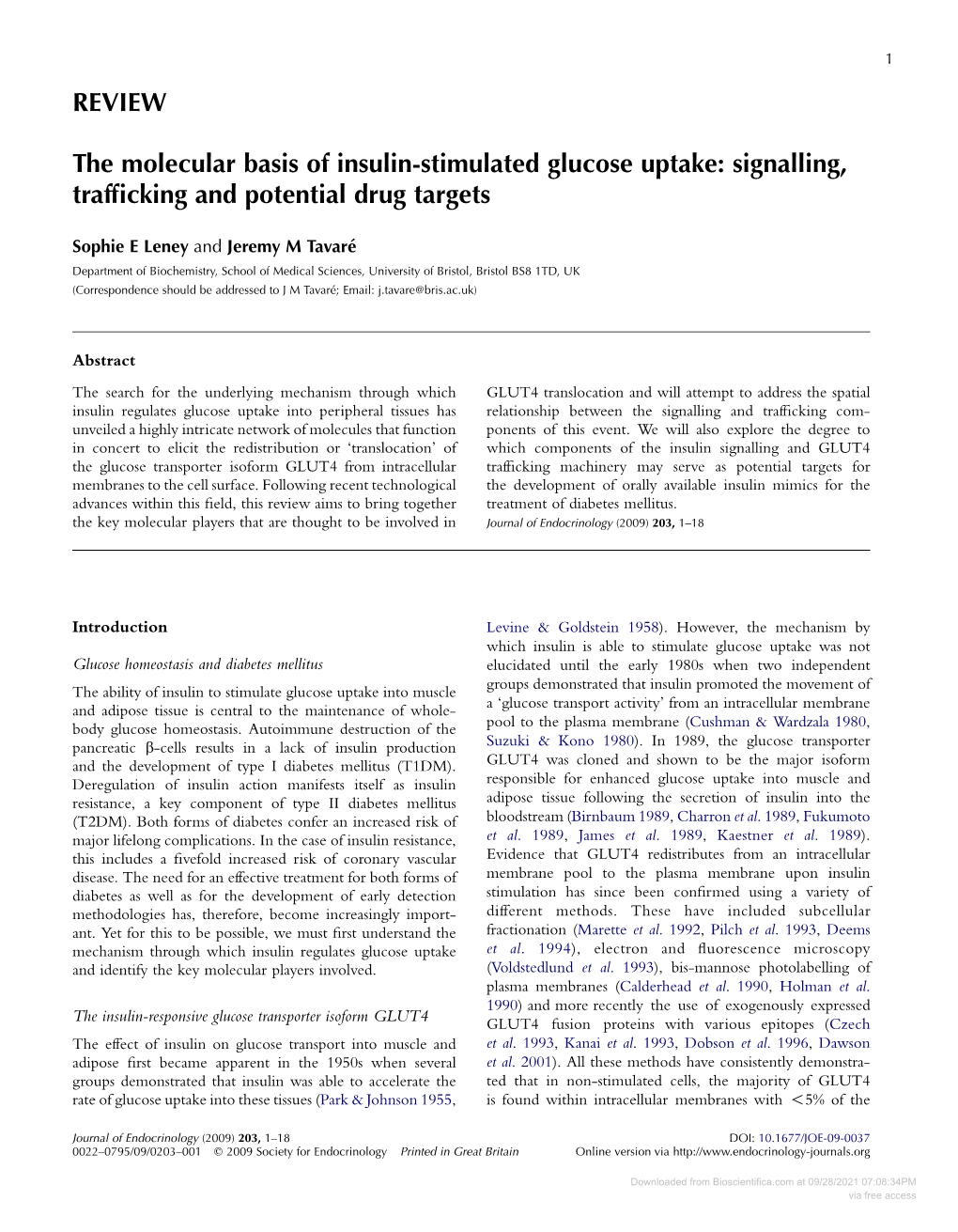 REVIEW the Molecular Basis of Insulin