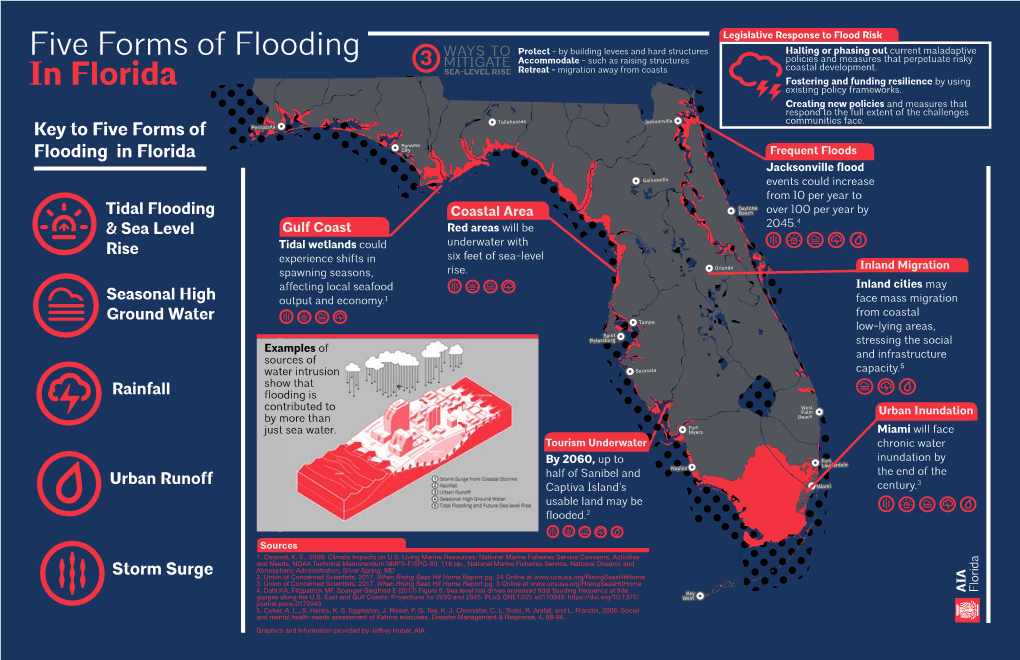 Five Forms of Flooding in Florida