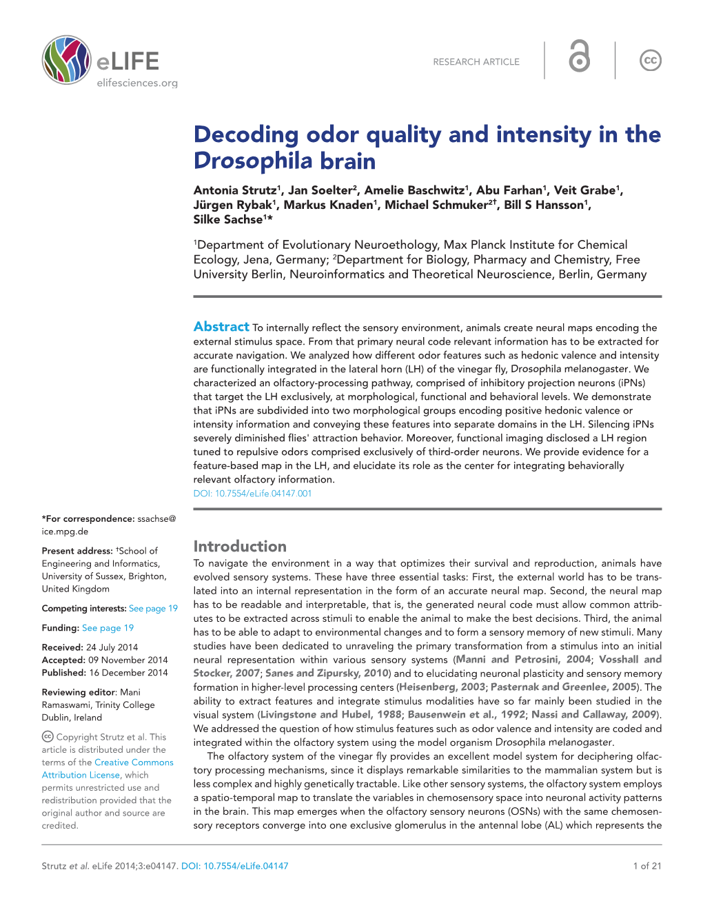 Decoding Odor Quality and Intensity in the Drosophila Brain