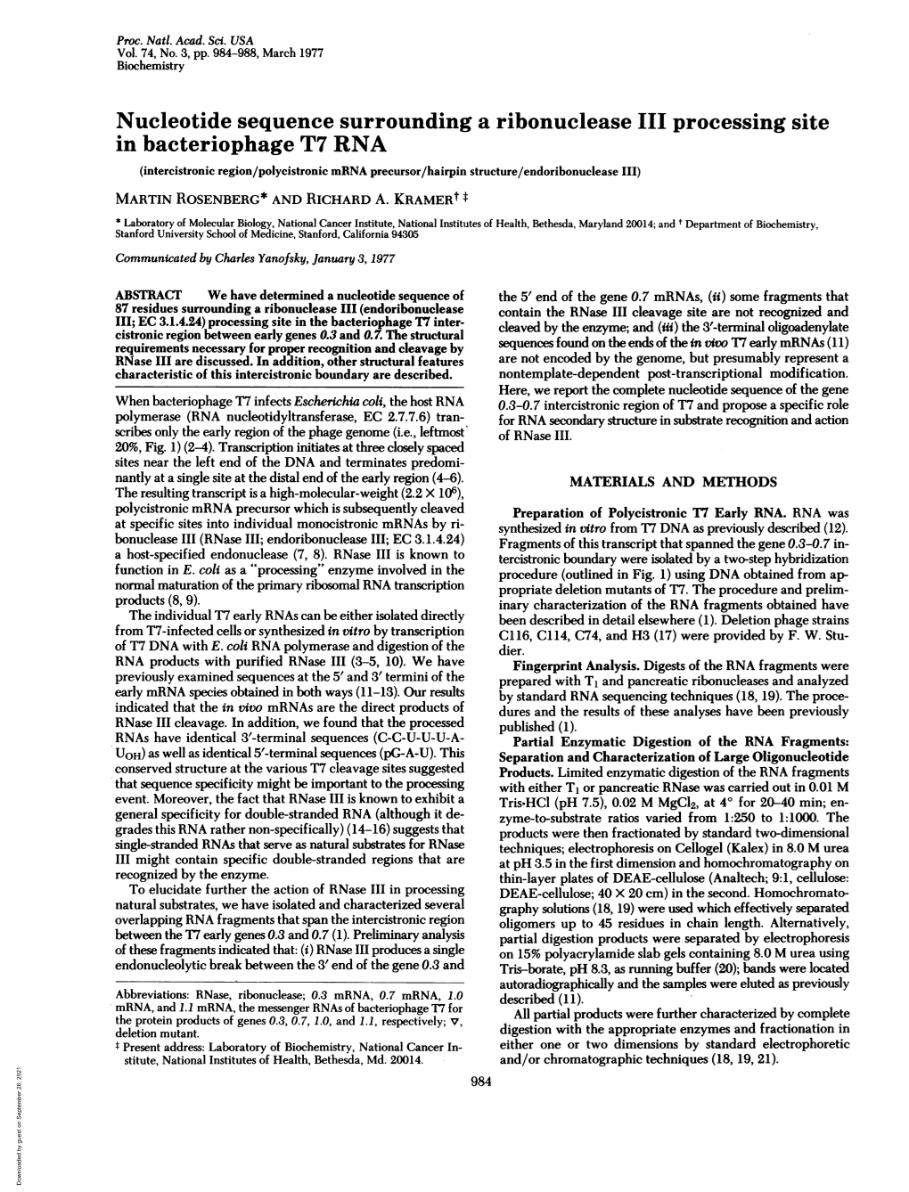 Nucleotide Sequence Surrounding a Ribonuclease III Processing Site In