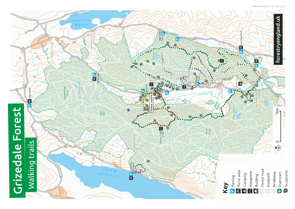 Grizedale Forest