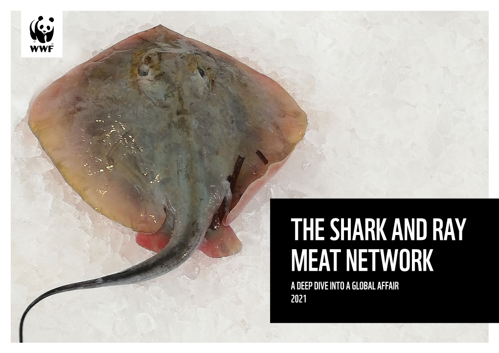 THE SHARK and RAY MEAT NETWORK a DEEP DIVE INTO a GLOBAL AFFAIR 2021 Editor Evan Jeffries (Swim2birds)