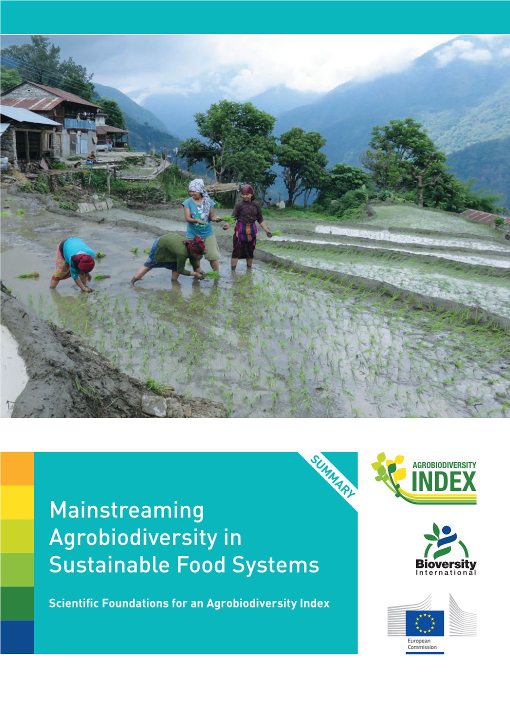 Mainstreaming Agrobiodiversity in Sustainable Food Systems