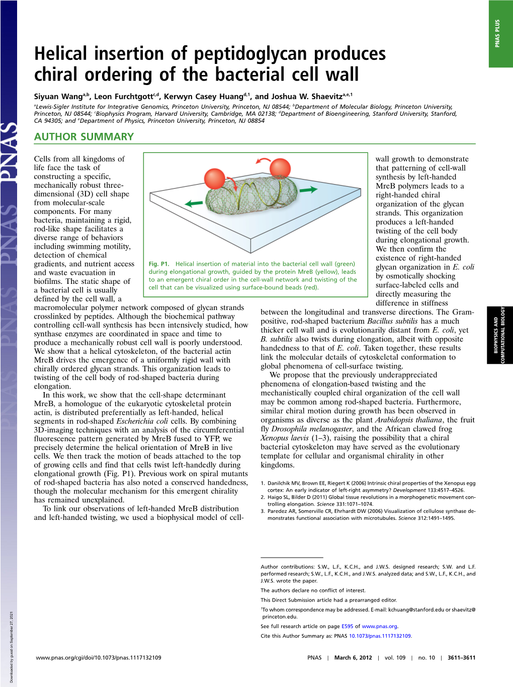 Helical Insertion of Peptidoglycan Produces Chiral Ordering of the Bacterial Cell Wall