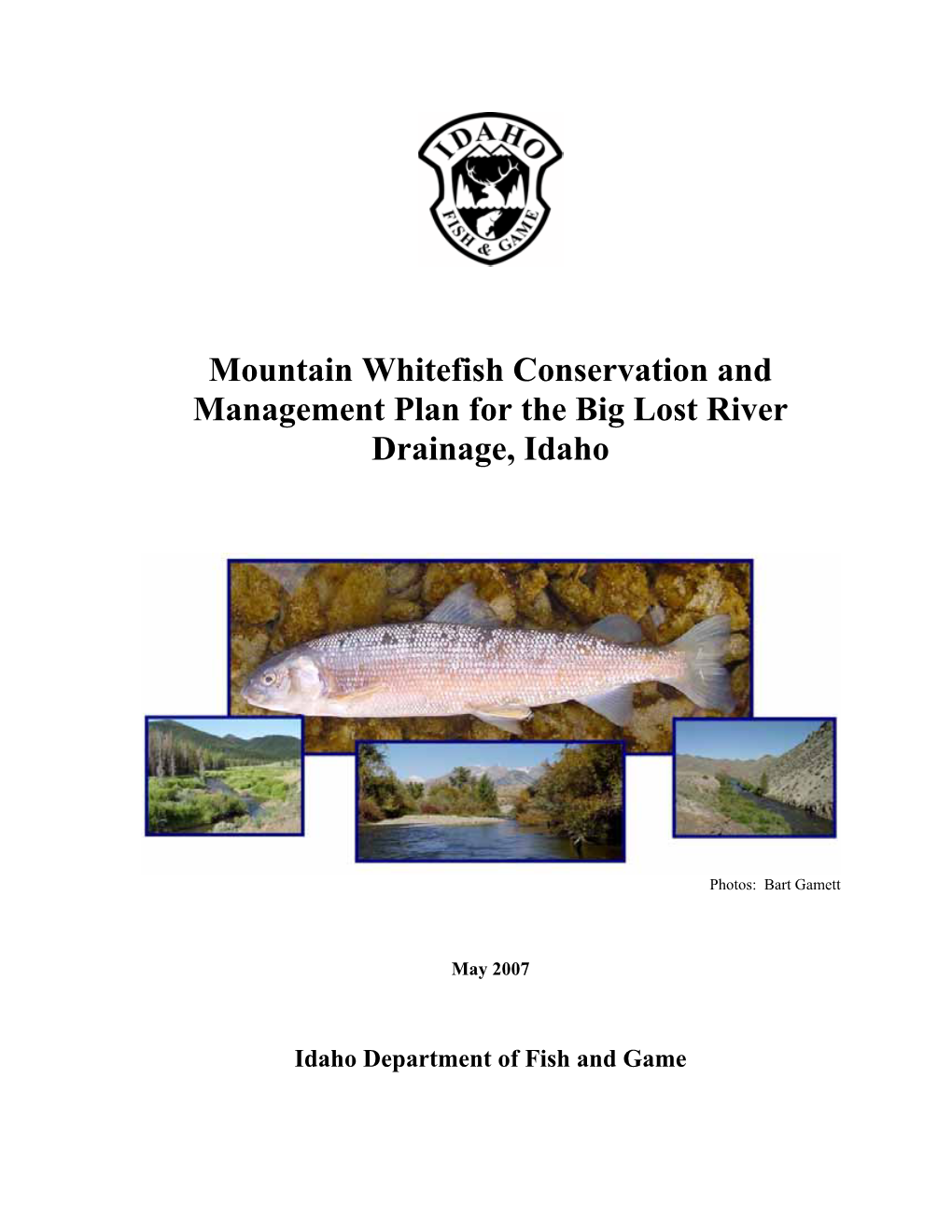 Big Lost River Mountain Whitefish and Other Populations of Snake River Basin Mountain Whitefish