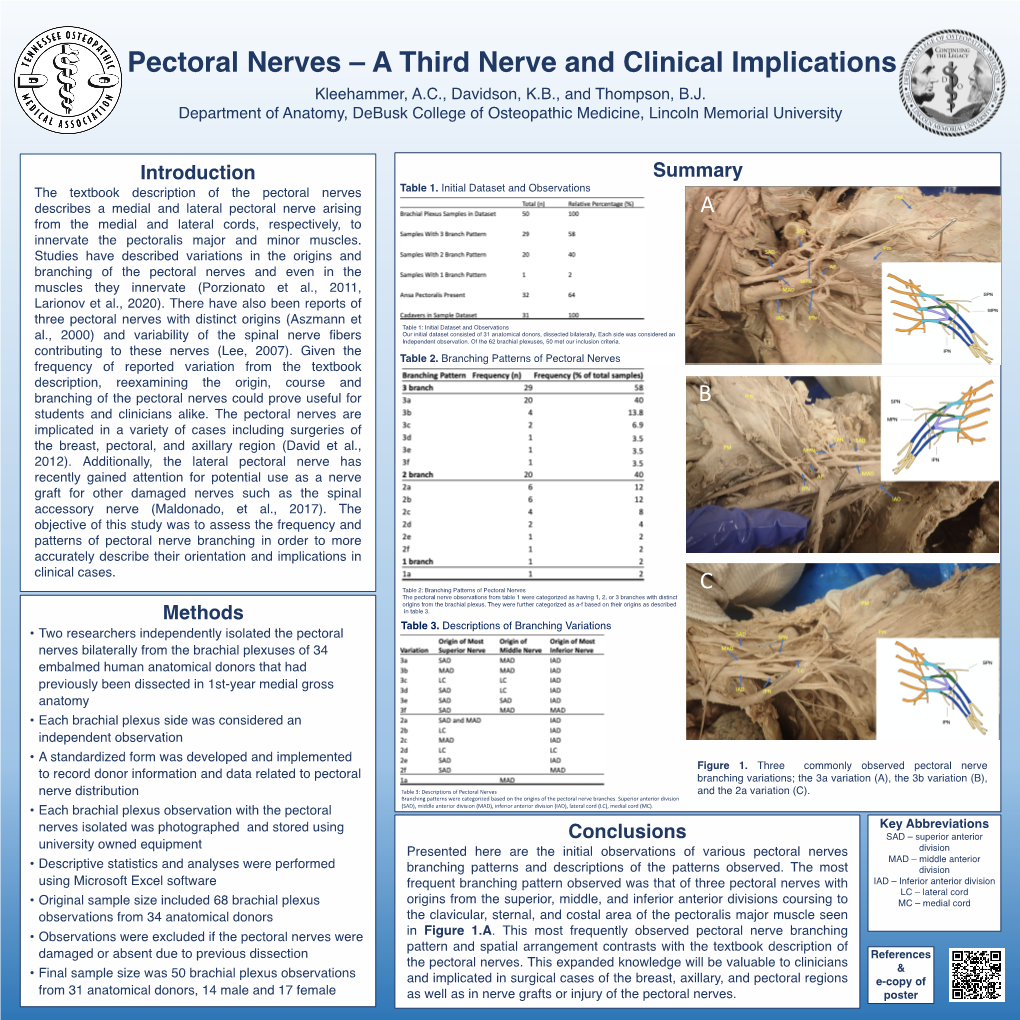 Pectoral Nerves – a Third Nerve and Clinical Implications Kleehammer, A.C., Davidson, K.B., and Thompson, B.J