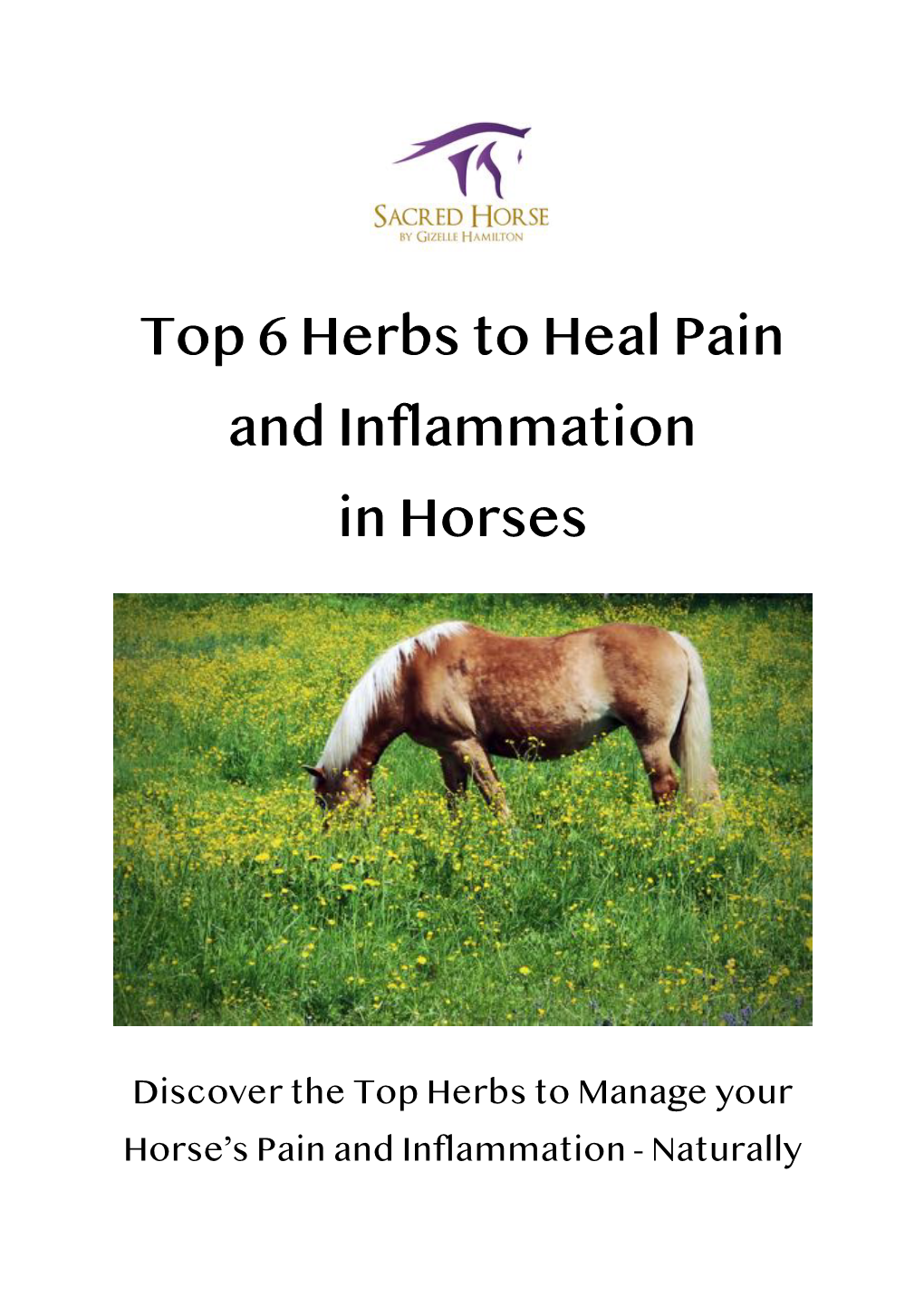 Top 6 Herbs to Heal Pain and Inflammation in Horses