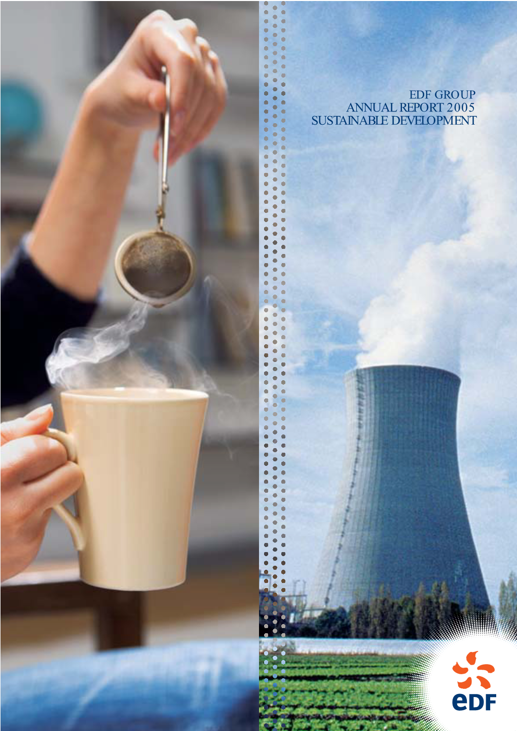 Annual Report 2005 Sustainable Development 2