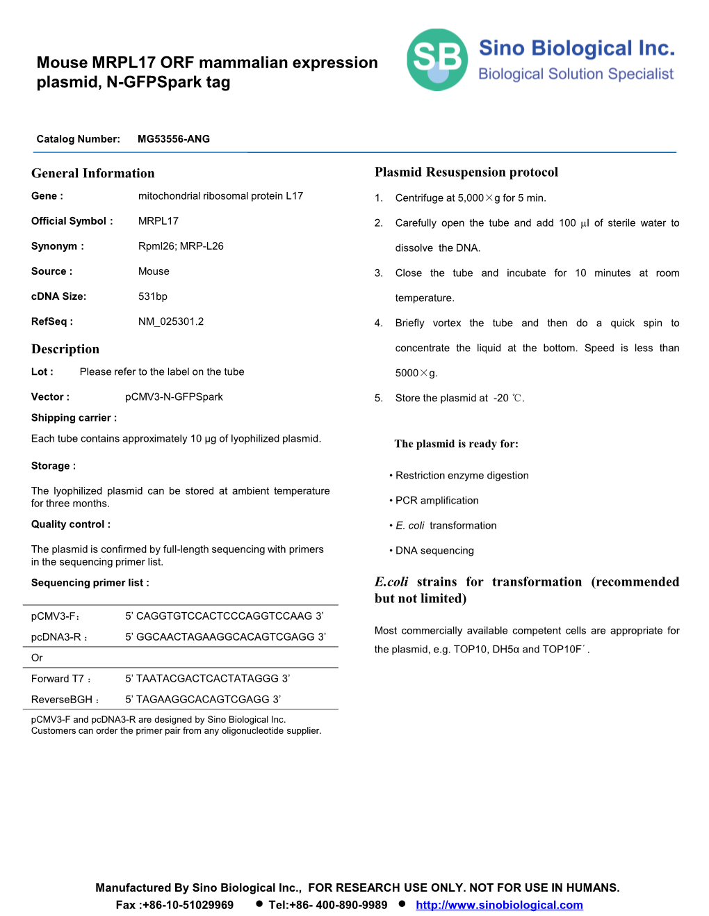 Mouse MRPL17 ORF Mammalian Expression Plasmid, N-Gfpspark Tag