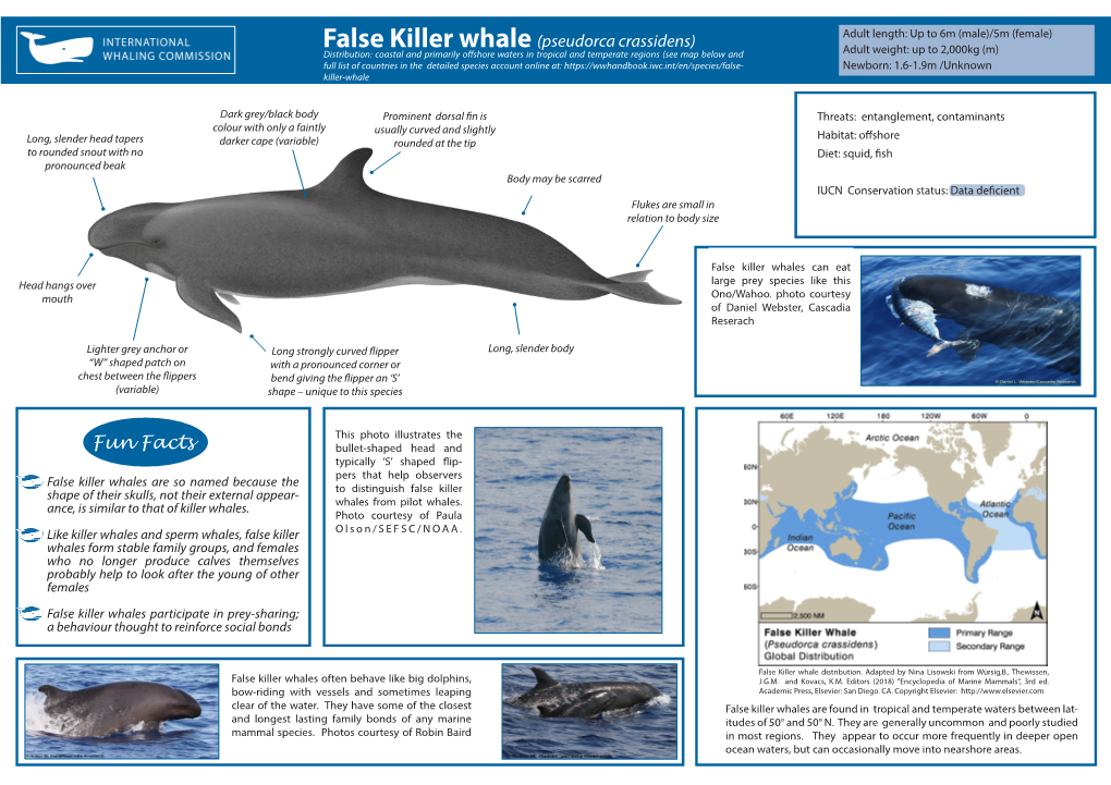 False Killer Whale Fact Sheet