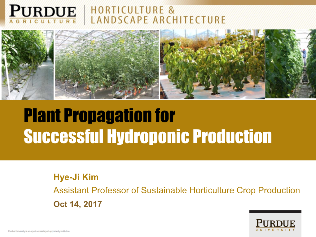 Plant Propagation for Successful Hydroponic Production