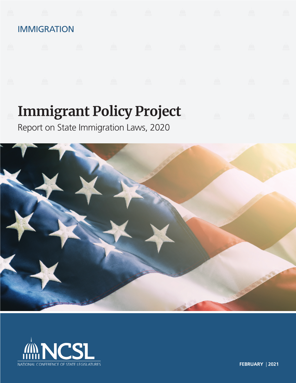 Immigrant Policy Project Report on State Immigration Laws, 2020