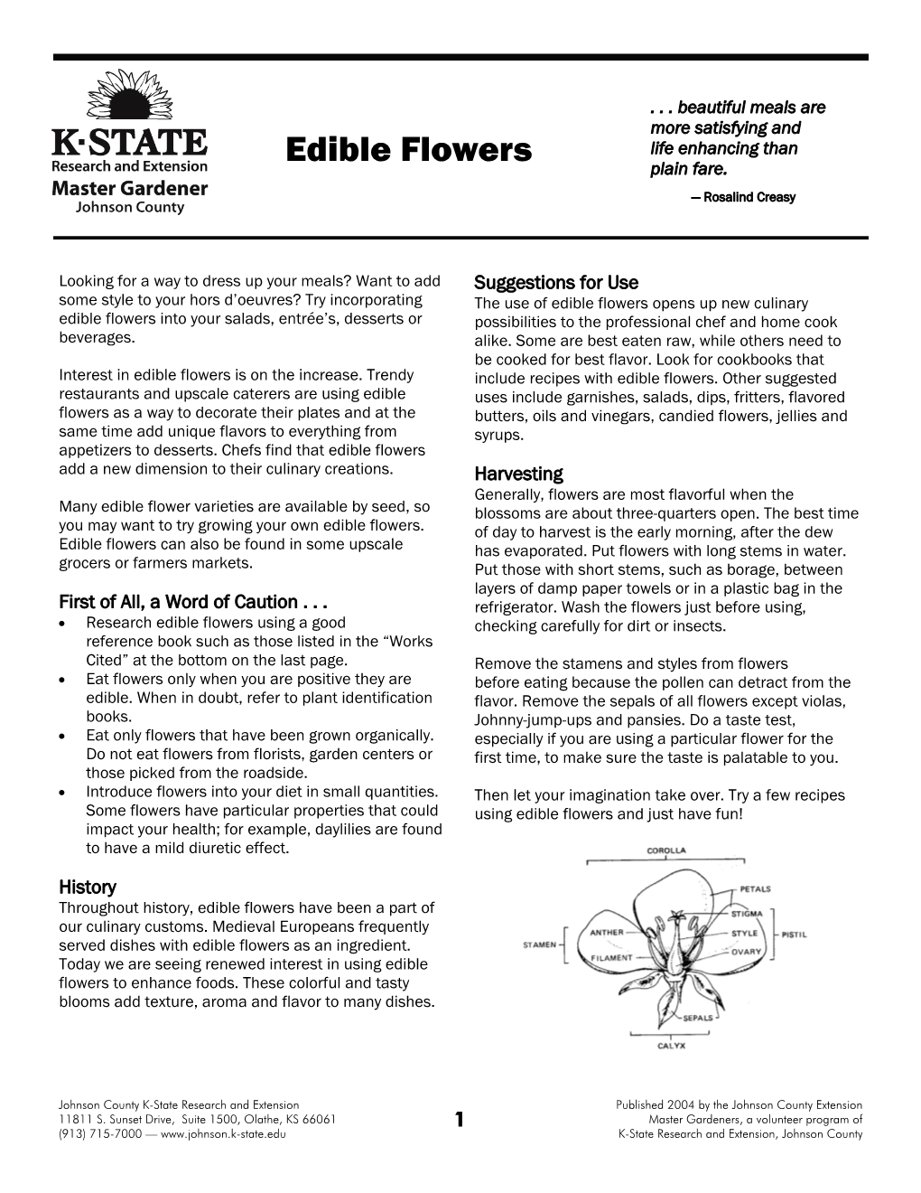 Edible Flowers Plain Fare