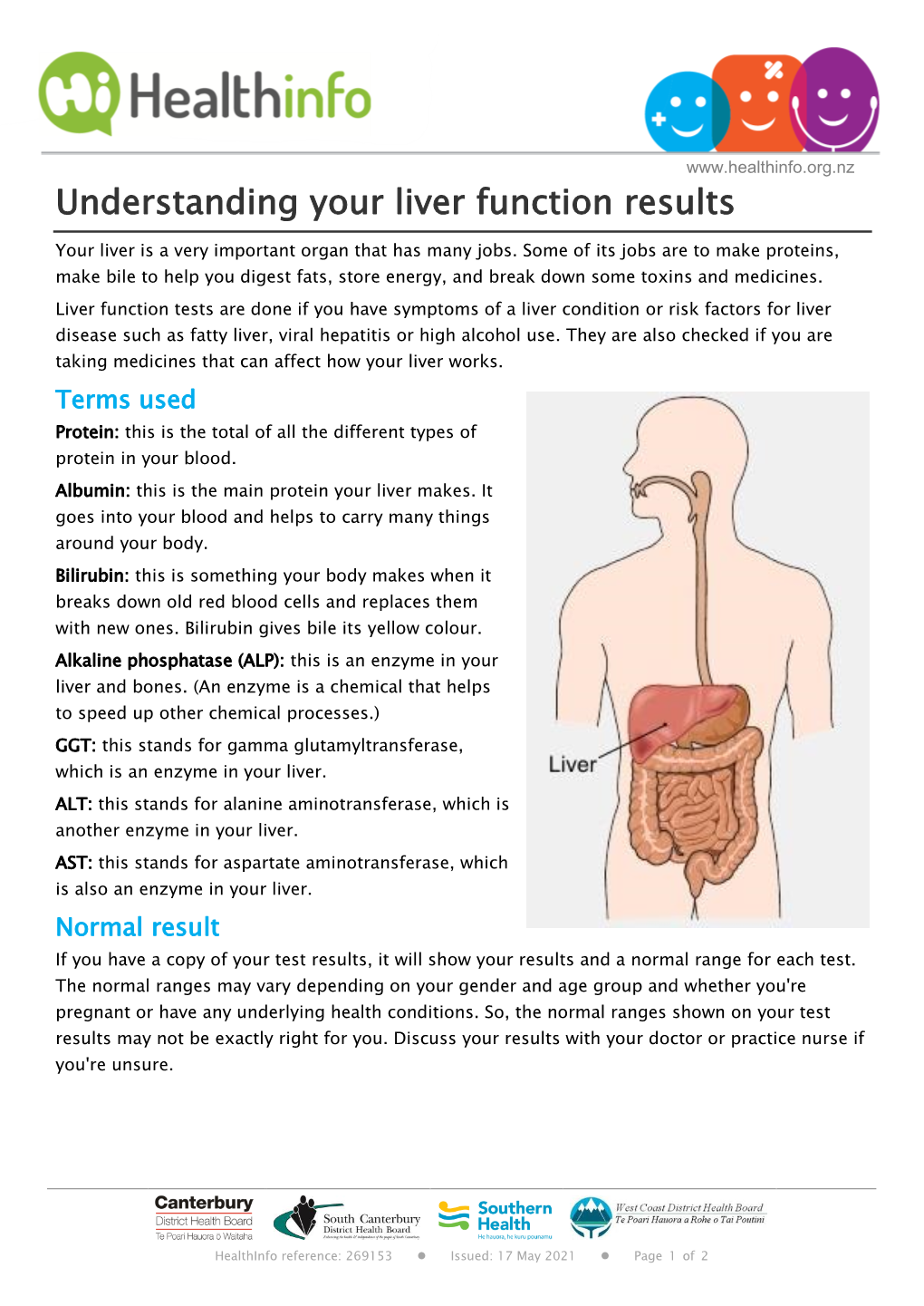 Understanding Your Liver Function Results