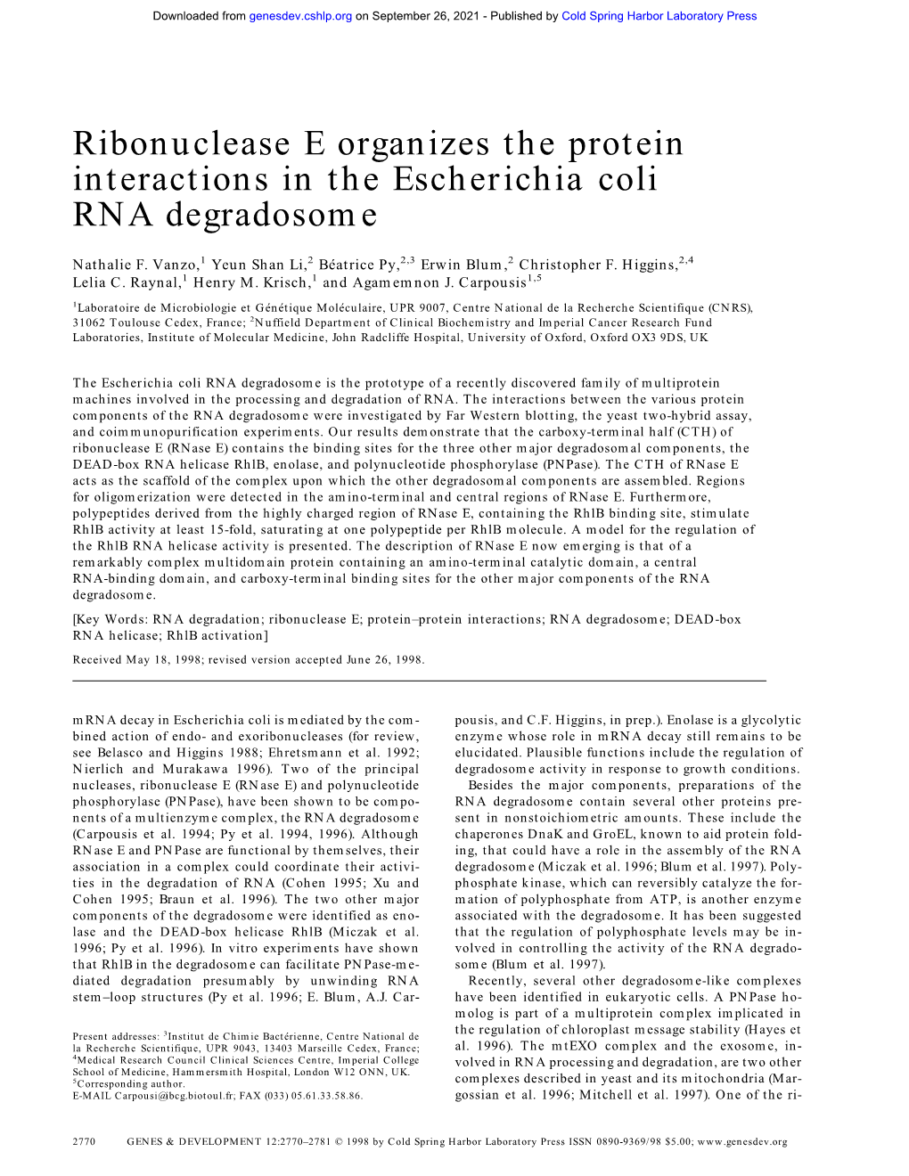 Ribonuclease E Organizes the Protein Interactions in the Escherichia Coli RNA Degradosome