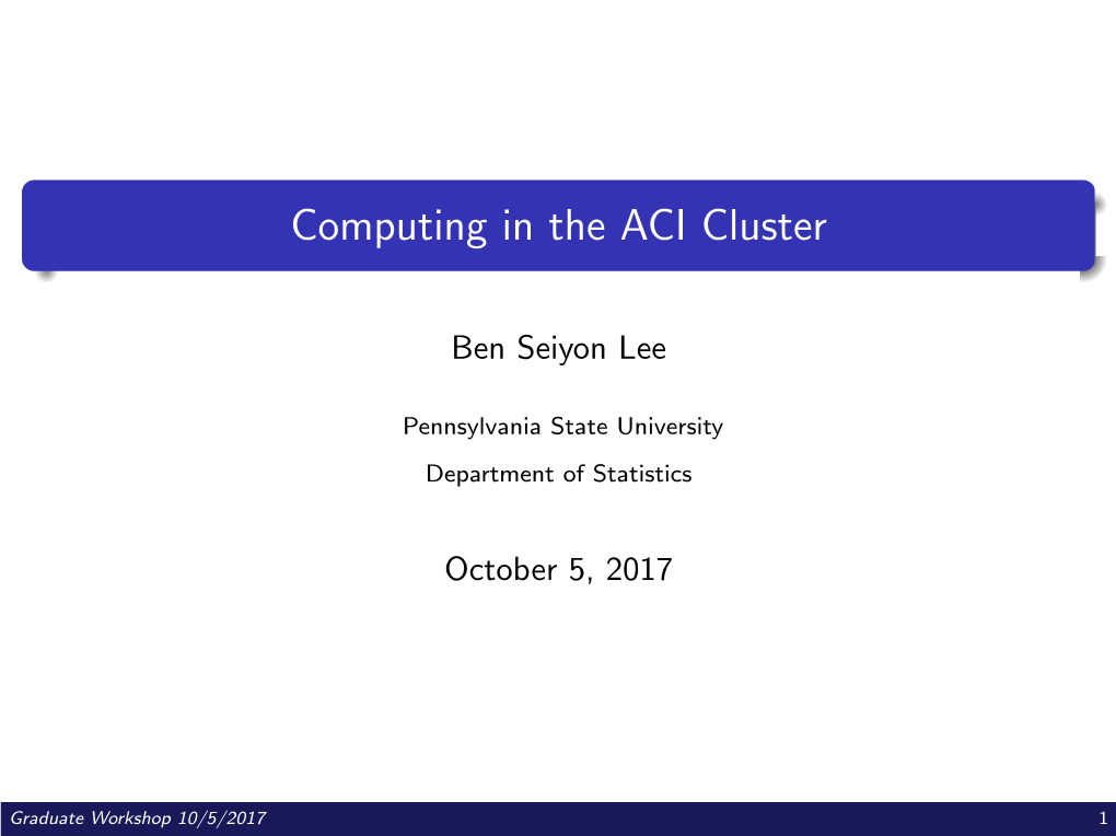 Computing in the ACI Cluster