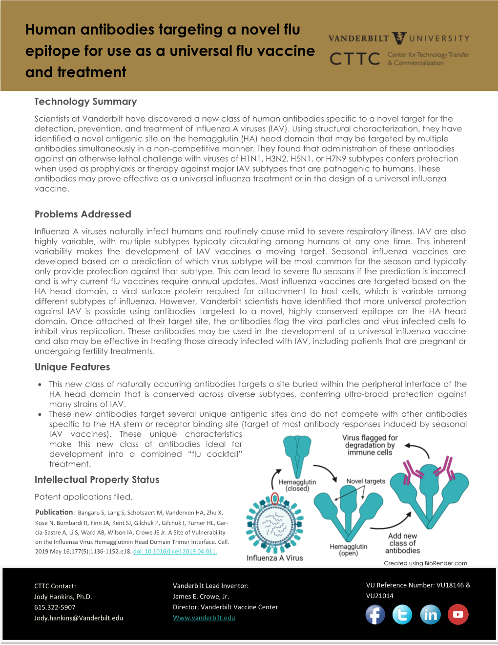 Human Antibodies Targeting a Novel Flu Epitope for Use As a Universal Flu Vaccine and Treatment