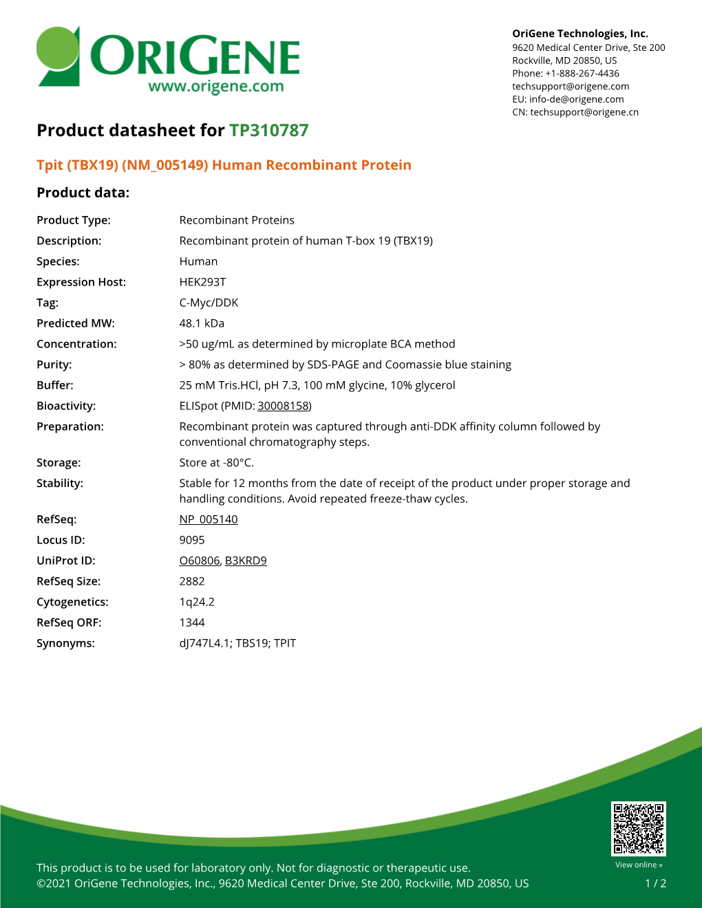 Tpit (TBX19) (NM 005149) Human Recombinant Protein Product Data