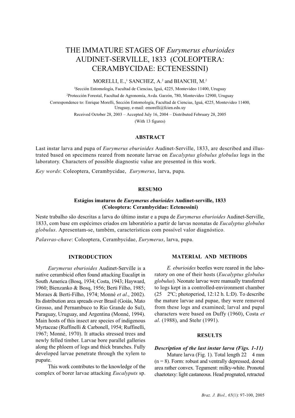 THE IMMATURE STAGES of Eurymerus Eburioides AUDINET-SERVILLE, 1833 (COLEOPTERA: CERAMBYCIDAE: ECTENESSINI)