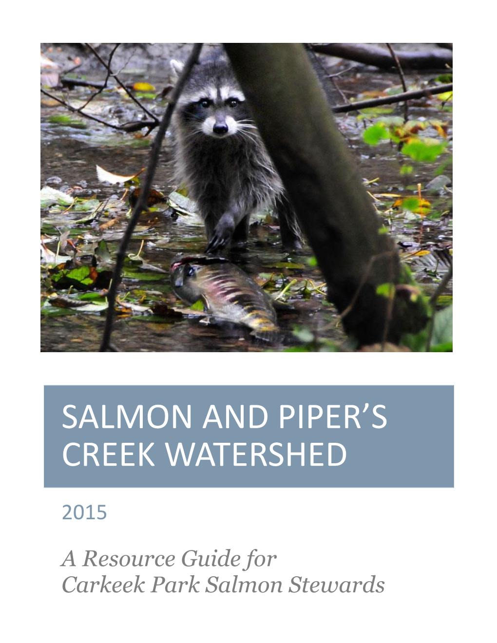 Salmon and Piper's Creek Watershed