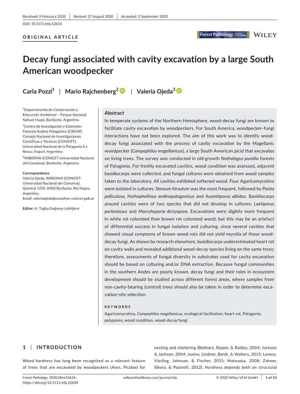 Decay Fungi Associated with Cavity Excavation by a Large South American Woodpecker