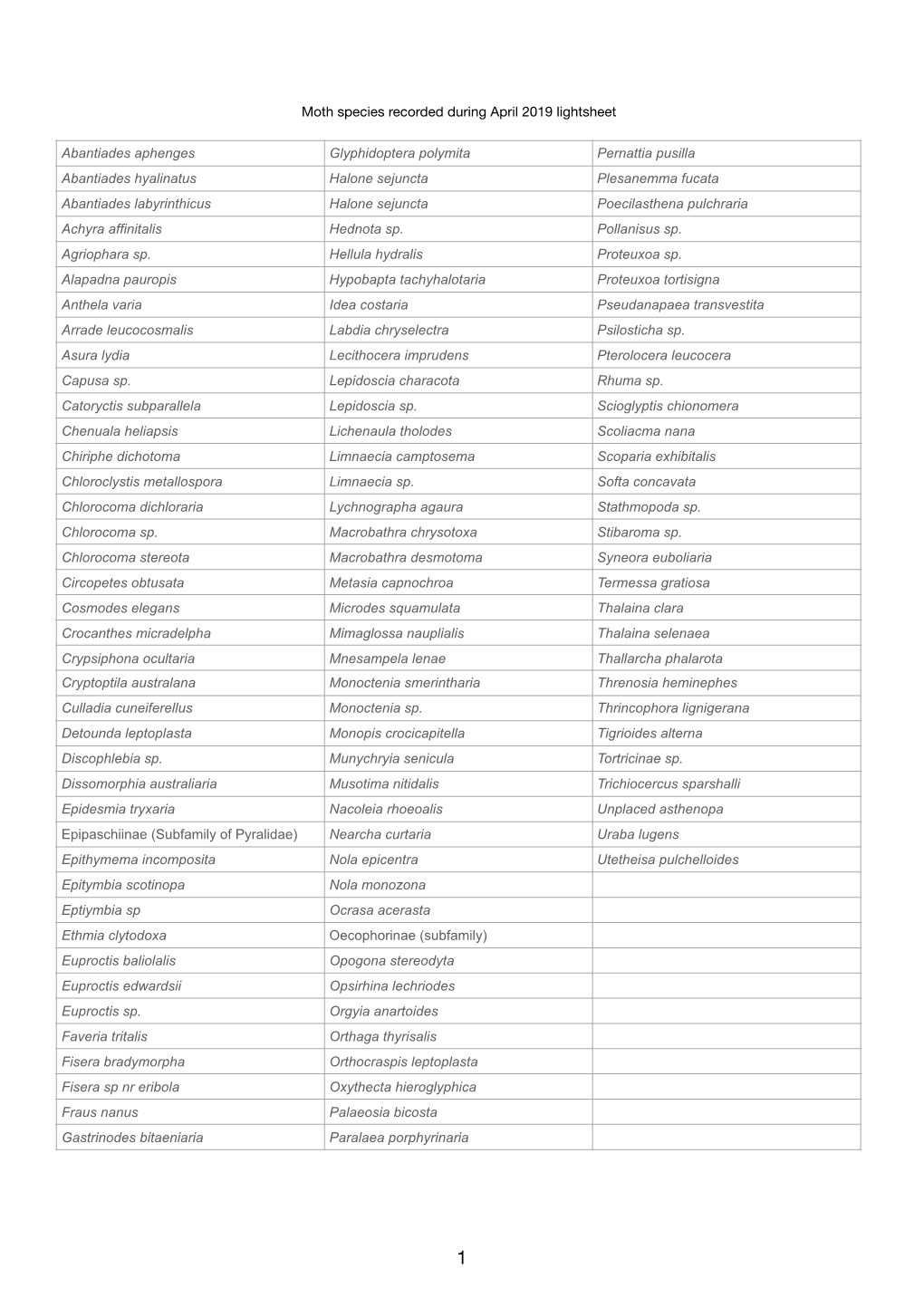 List of Moth Species April Lightsheet
