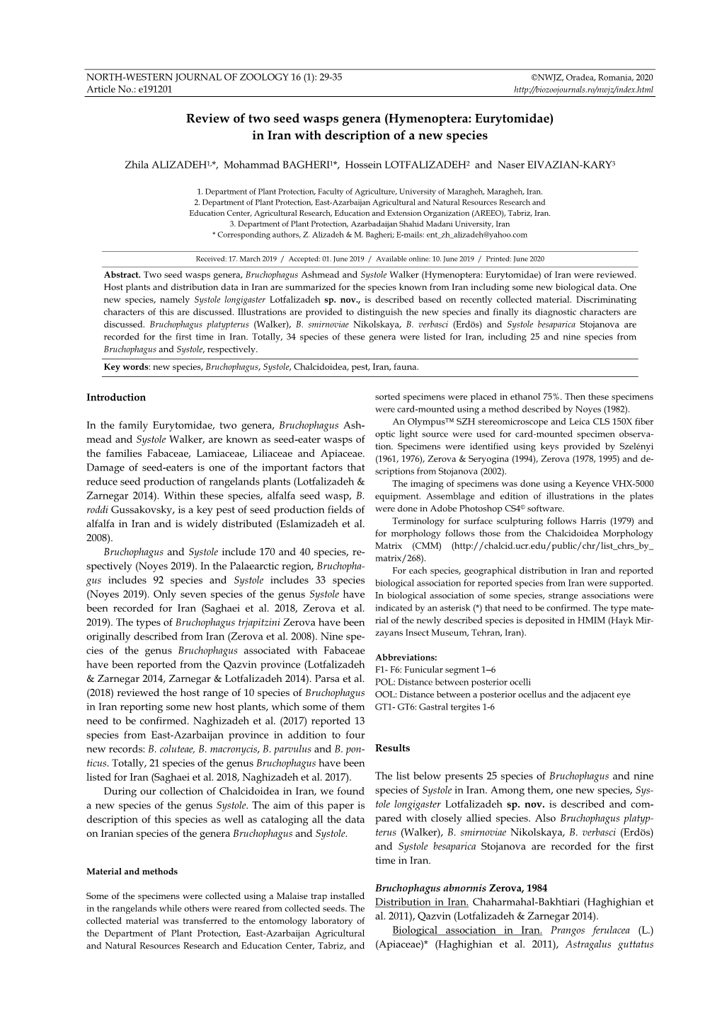 Review of Two Seed Wasps Genera (Hymenoptera: Eurytomidae) in Iran with Description of a New Species