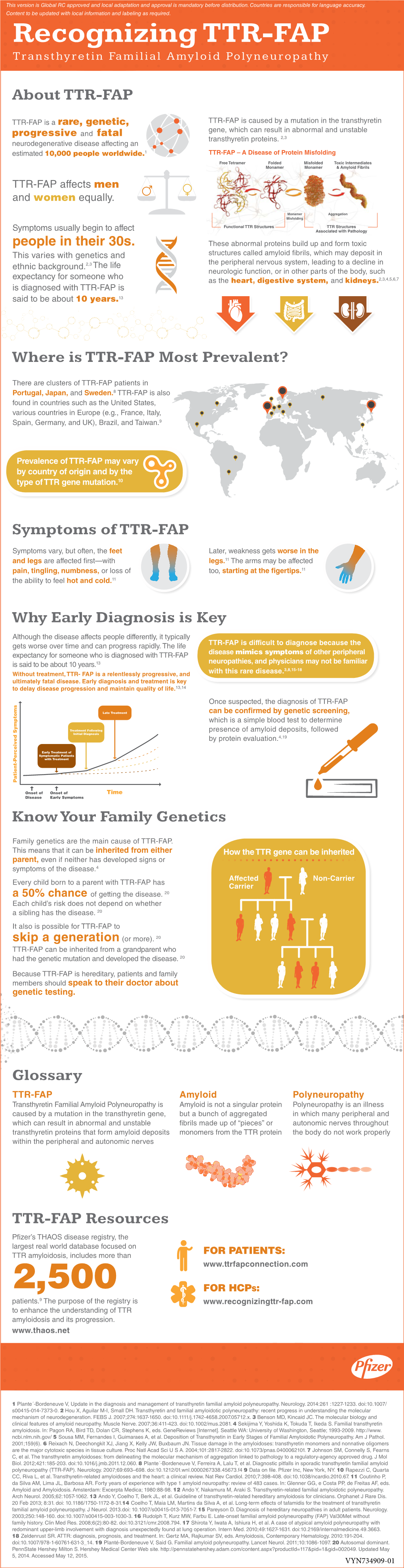 Recognizing TTR-FAP Transthyretin Familial Amyloid Polyneuropathy