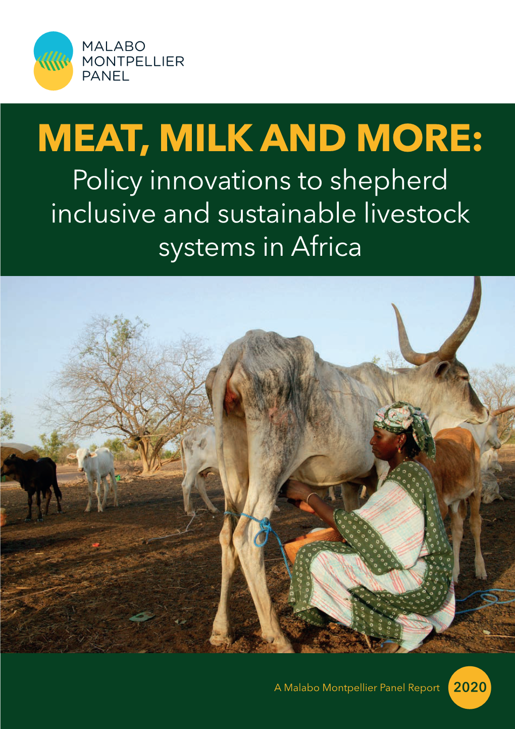 MEAT, MILK and MORE: Policy Innovations to Shepherd Inclusive and Sustainable Livestock Systems in Africa