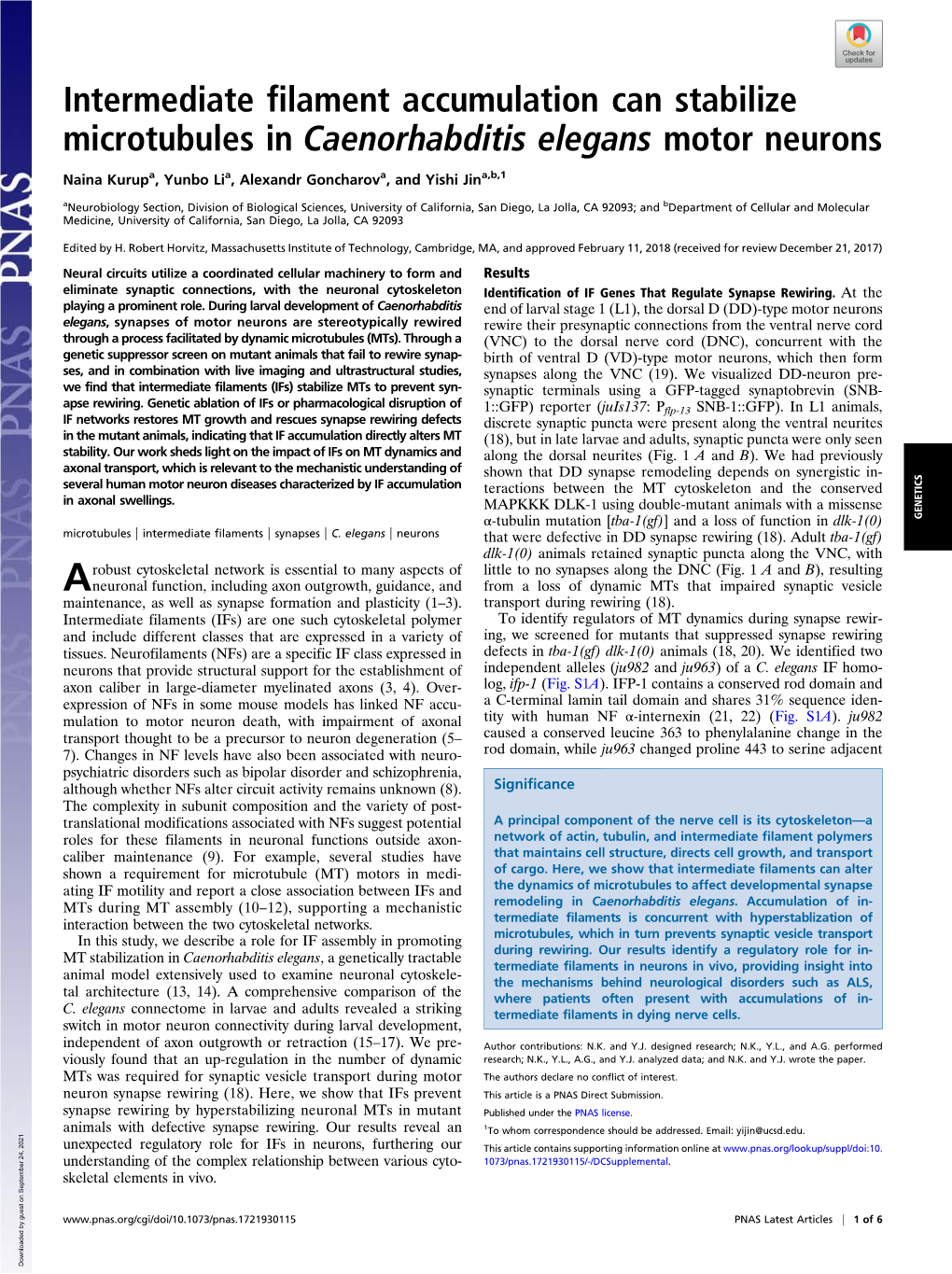 Intermediate Filament Accumulation Can Stabilize Microtubules in Caenorhabditis Elegans Motor Neurons