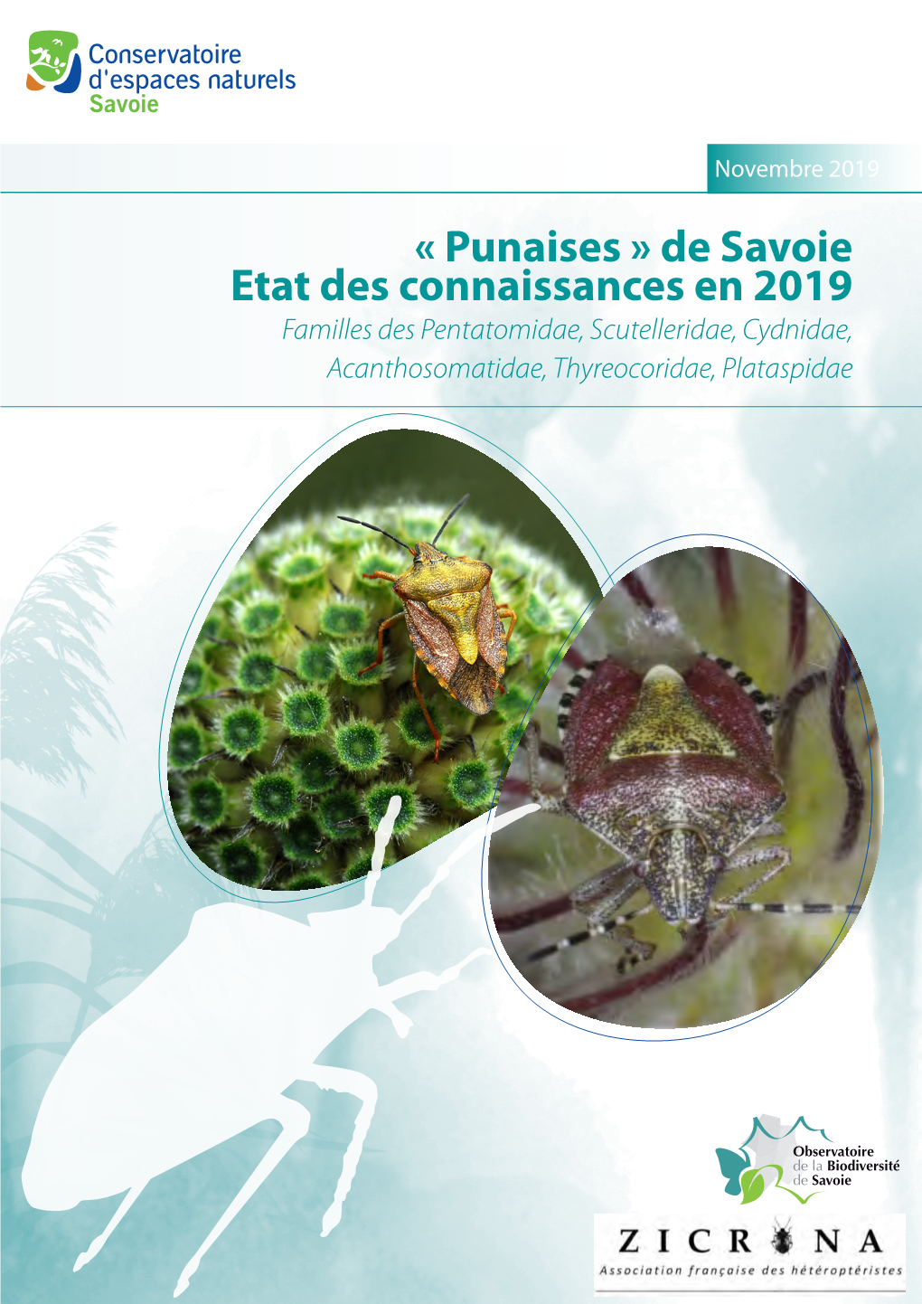 Punaises » De Savoie Etat Des Connaissances En 2019 Familles Des Pentatomidae, Scutelleridae, Cydnidae, Acanthosomatidae, Thyreocoridae, Plataspidae