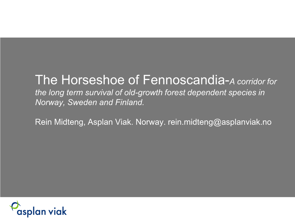 The Horseshoe of Fennoscandia, Norway, Rein Midteng