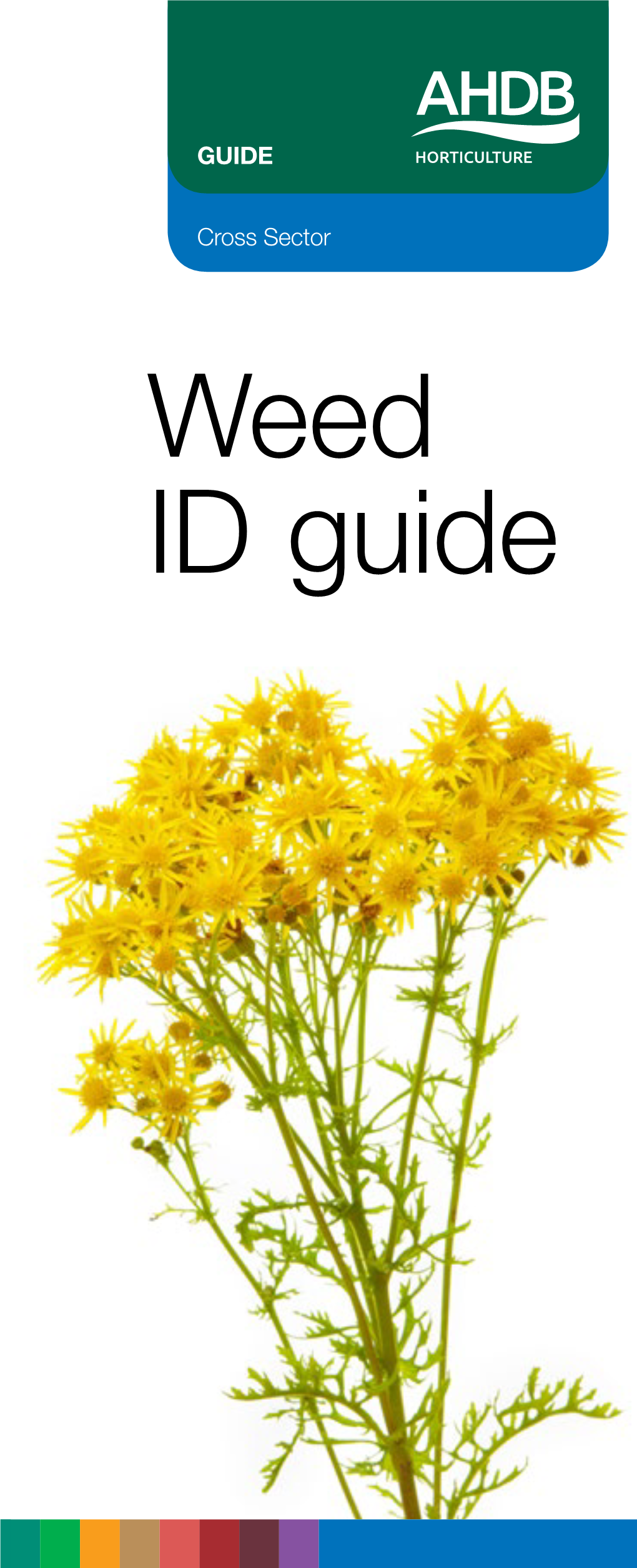 Weed ID Guide