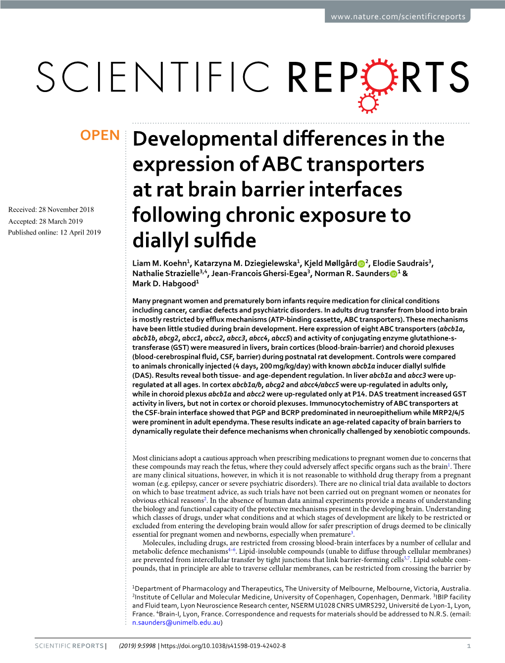 Developmental Differences in the Expression of ABC Transporters at Rat Brain Barrier Interfaces Following Chronic Exposure to Di