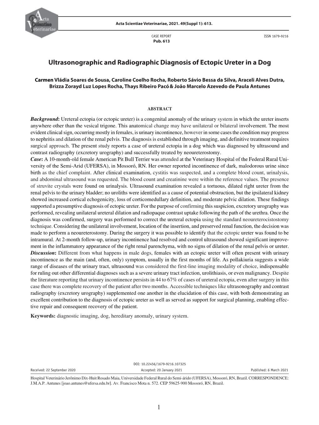 Ultrasonographic and Radiographic Diagnosis of Ectopic Ureter in a Dog