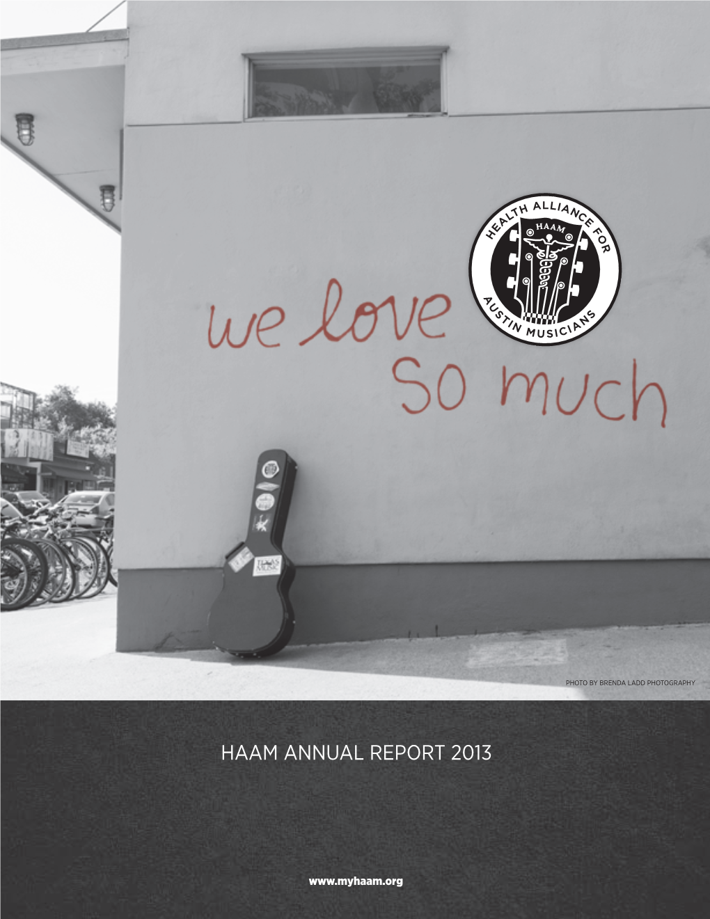 Haam Annual Report 2013