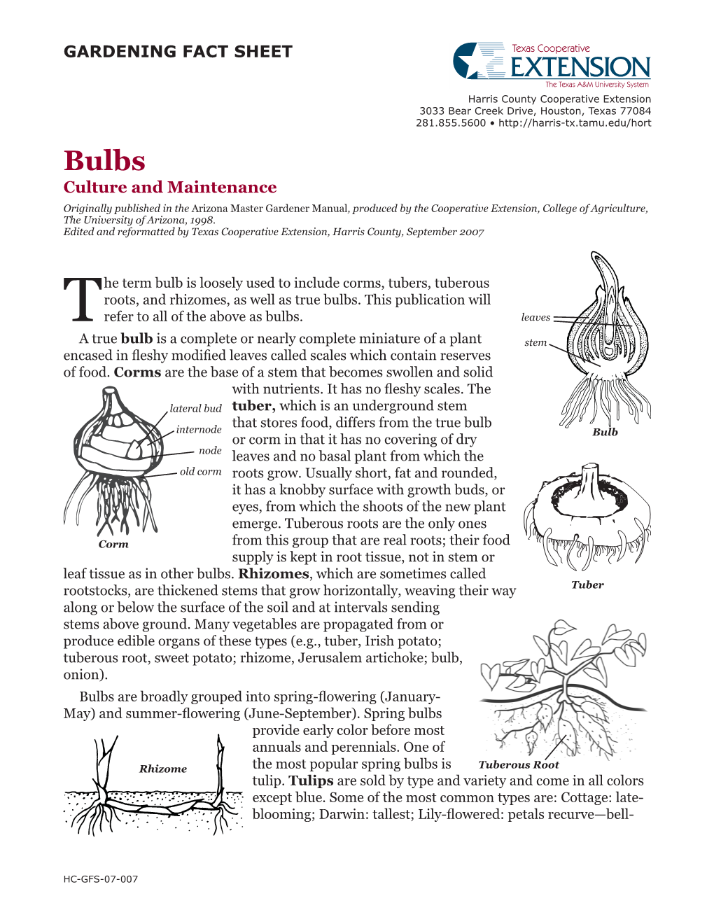 Bulbs: Culture and Maintenance by Diane Relf and Elizabeth Ball, Revised by Joyce Latimer, Virginia Cooperative Extension