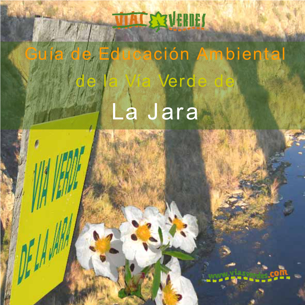 La Jara Edición: Fundación De Los Ferrocarriles Españoles