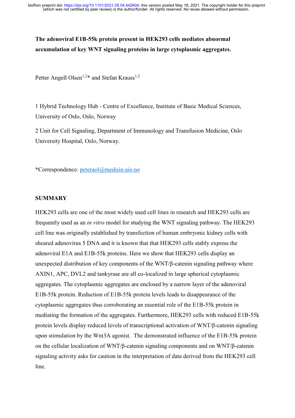 The Adenoviral E1B-55K Protein Present in HEK293 Cells Mediates Abnormal Accumulation of Key WNT Signaling Proteins in Large Cytoplasmic Aggregates