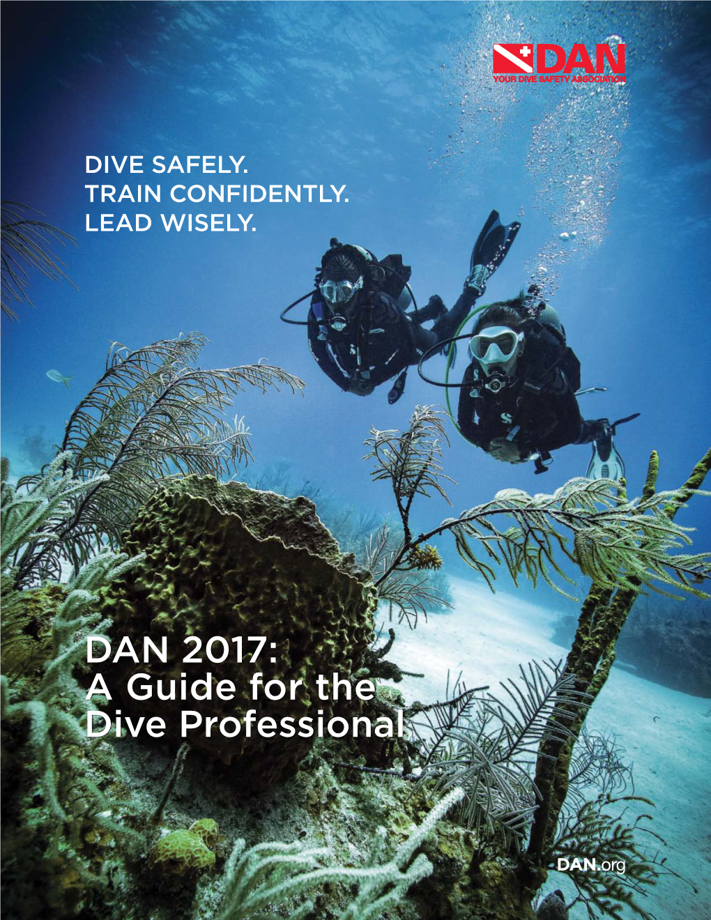 DAN 2017: a Guide for the Dive Professional