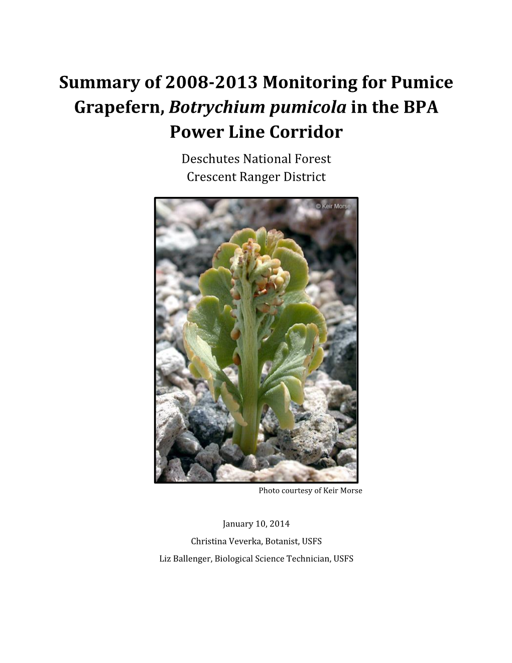 Monitoring for Botrychium Pumicola in the BPA Powerline Corridor