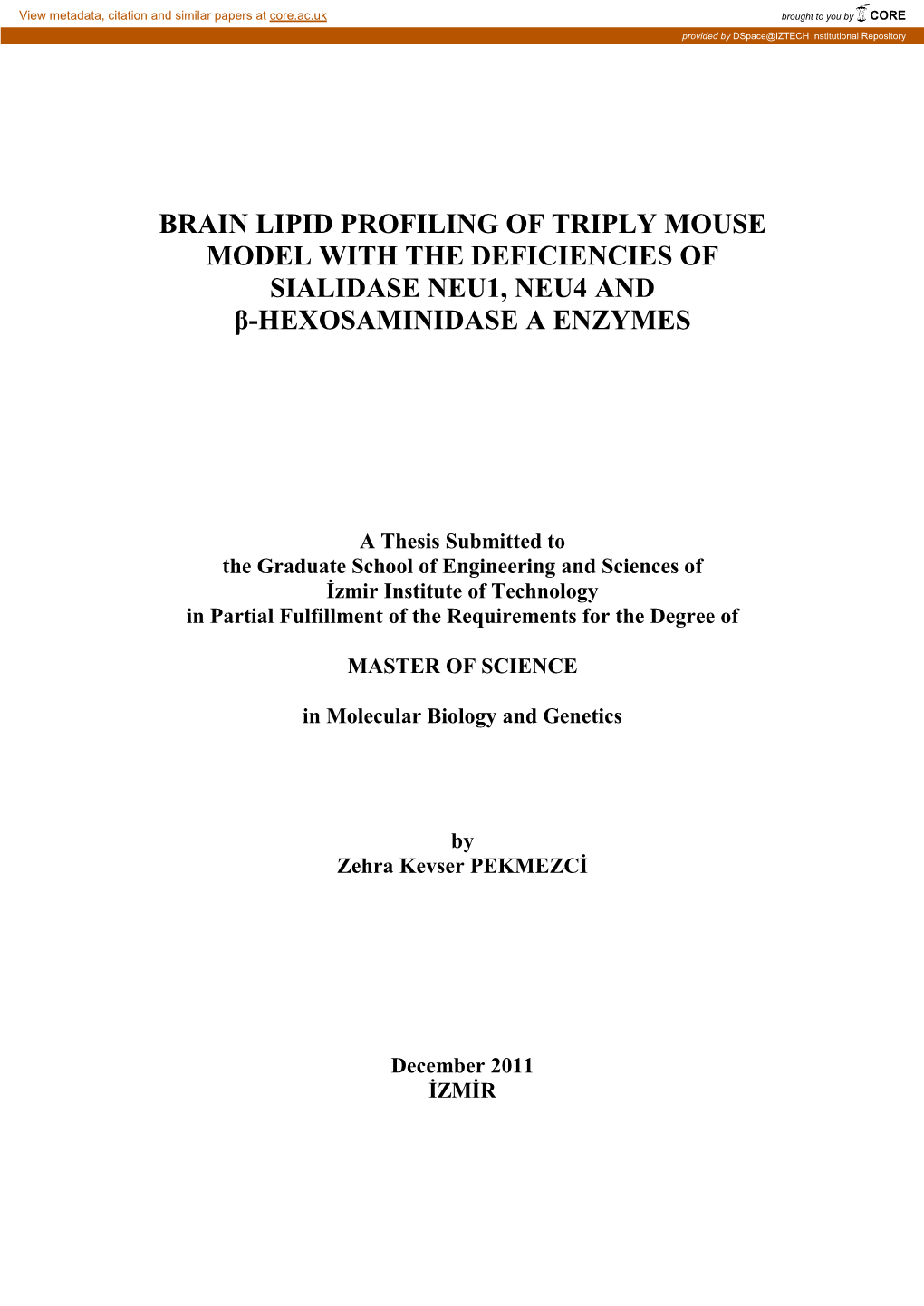 Brain Lipid Profiling of Triply Mouse Model with the Deficiencies of Sialidase Neu1, Neu4 and Β-Hexosaminidase a Enzymes